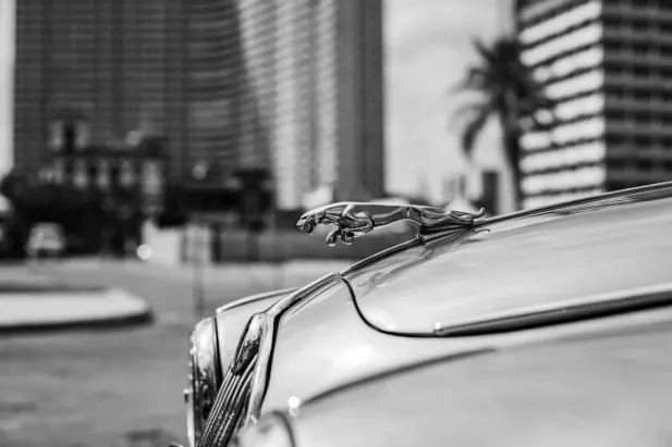 كازينو لويل بيت تطبيق أندرويد/آي أو إس